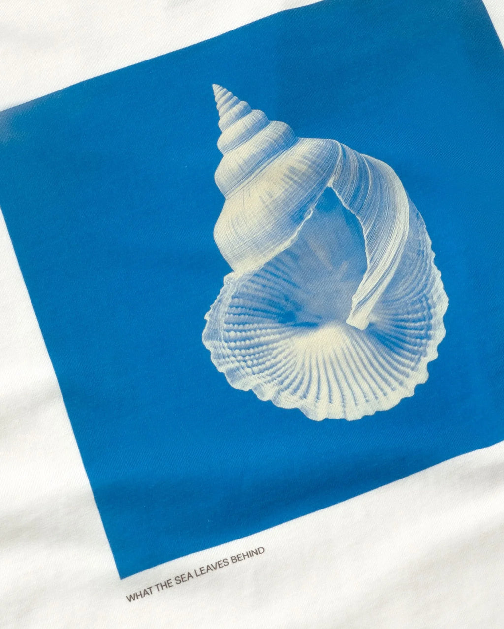 t-shirt Thinking Mu Sea Treasure blanc oversize imprimé coquillage coton bio femme