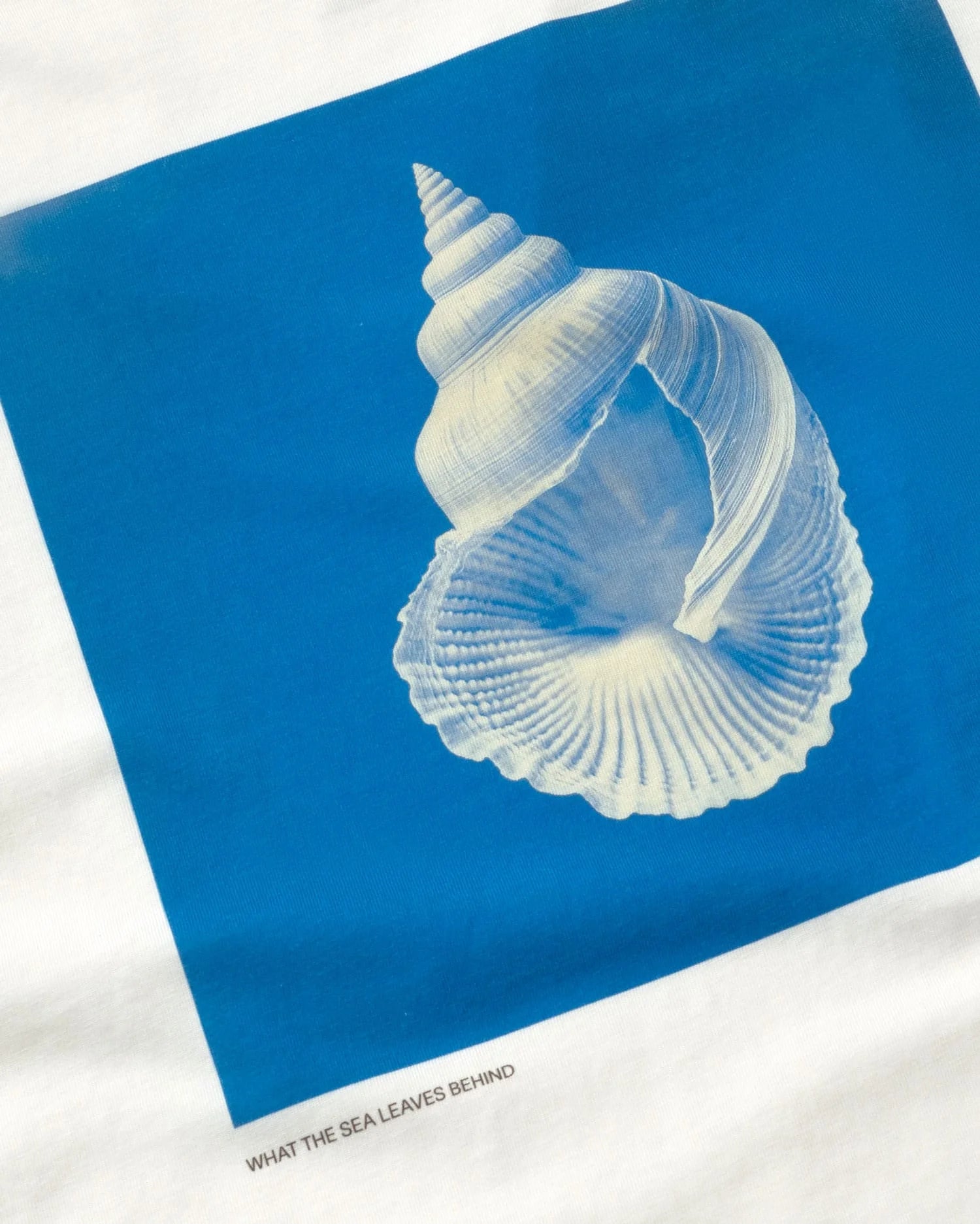 t-shirt Thinking Mu Sea Treasure blanc oversize imprimé coquillage coton bio femme